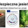 2018-2019 » Erasmus+. Bezpieczeństwo w lesie.